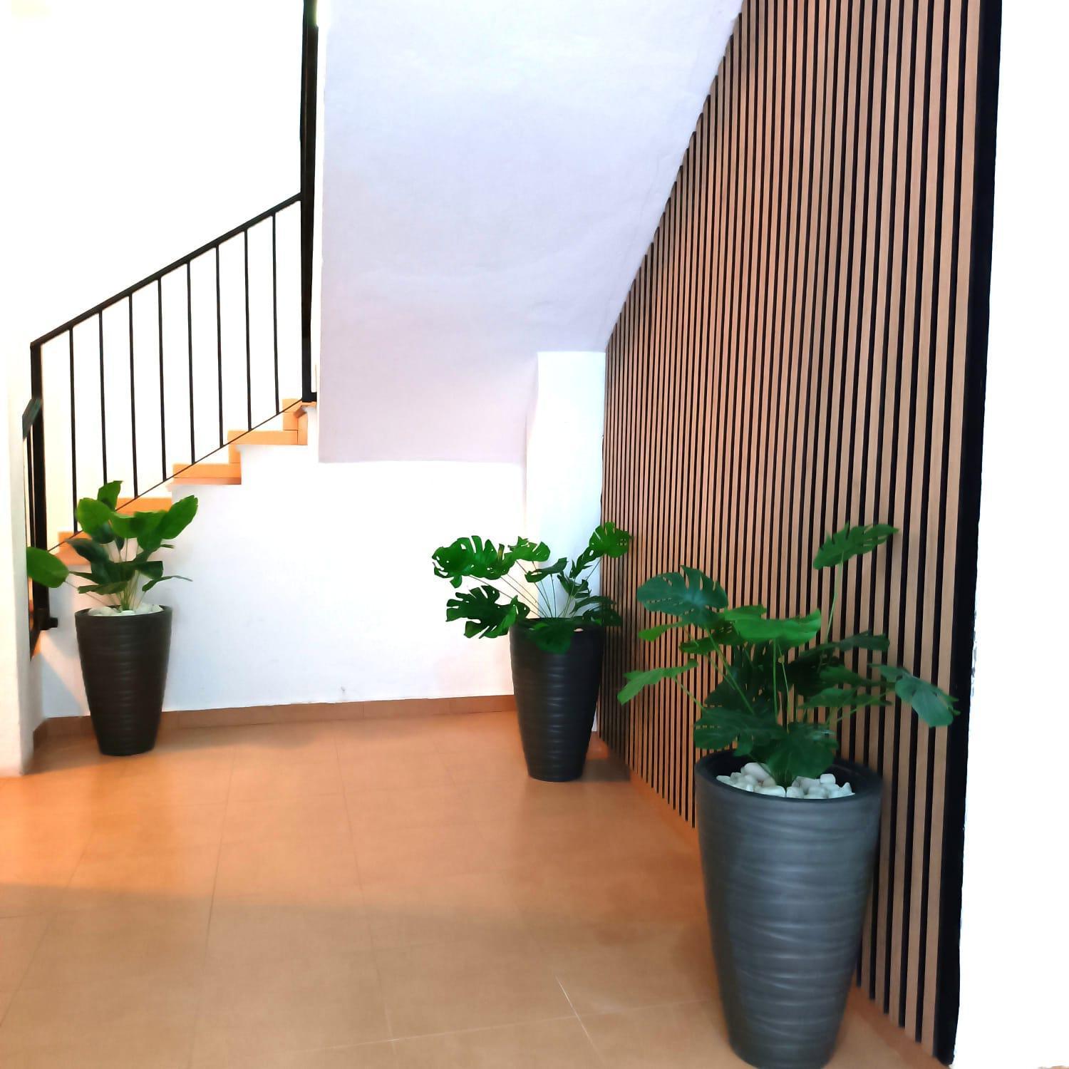 Apartamentos Duende Málaga Extérieur photo